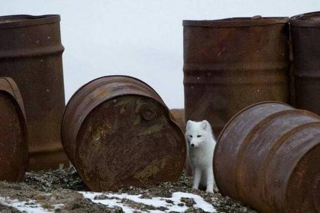 Цена нефти Brent рухнула ниже $59 за баррель