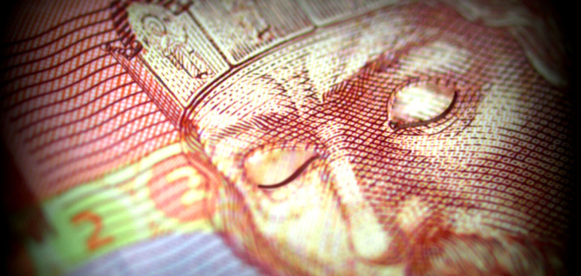 Банкиры рассказали, что может спасти гривню