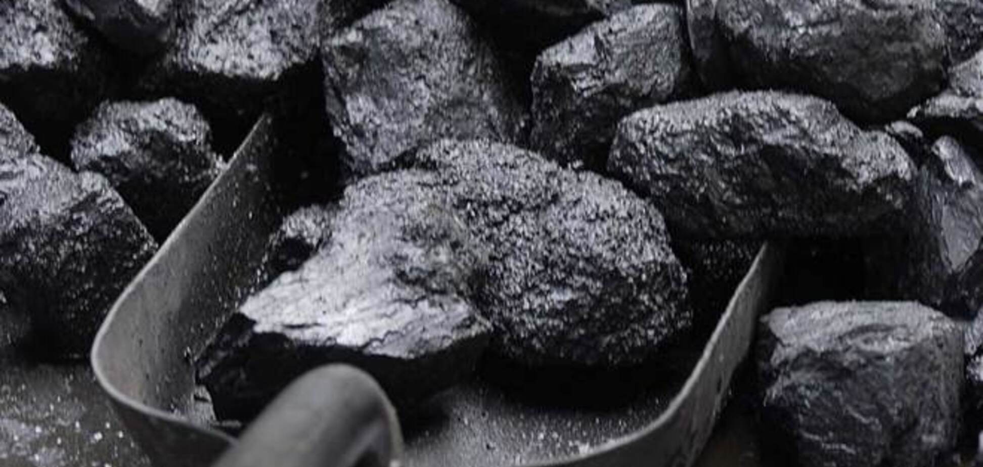 Добыча угля на Донетчине сократилась на 19%
