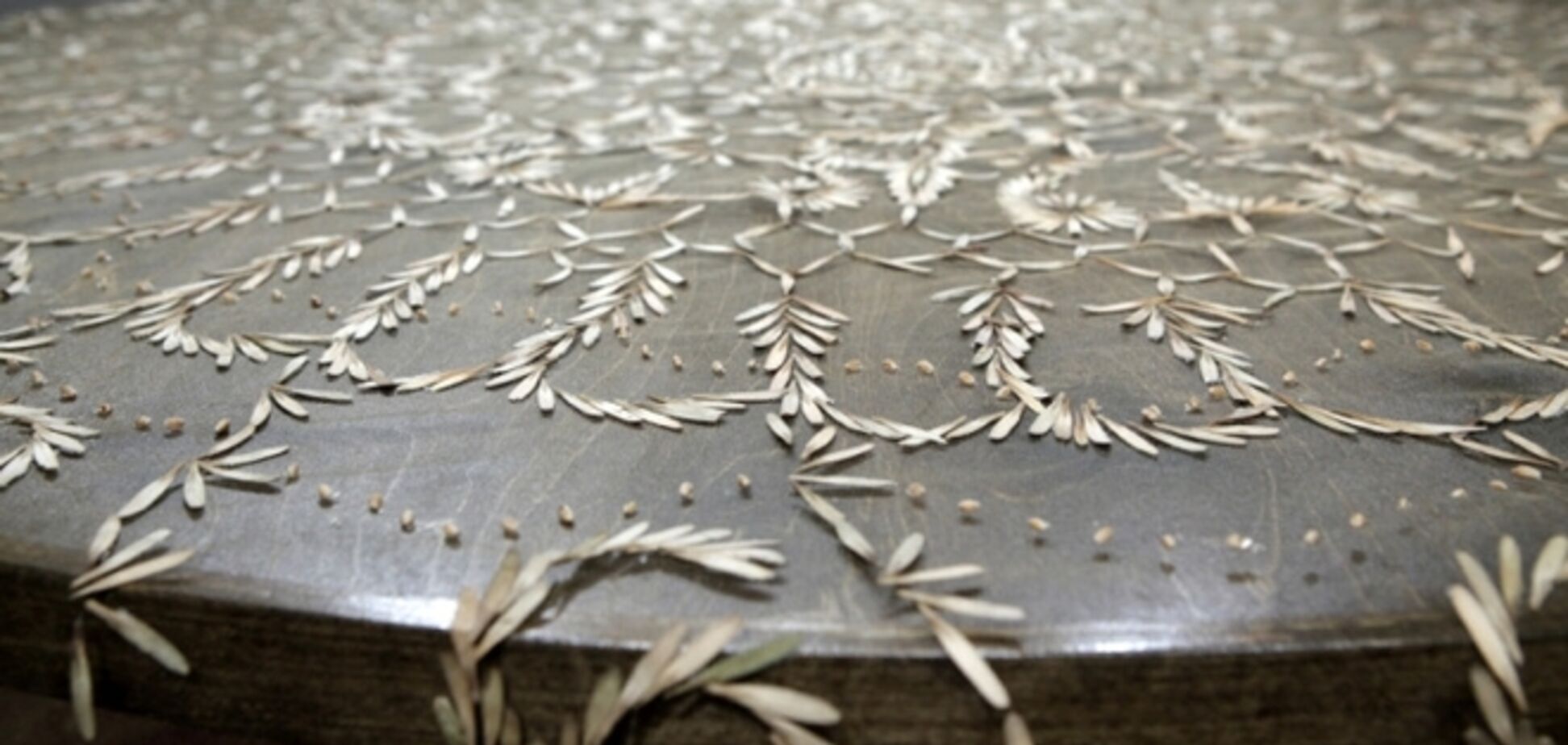 Хрупкая и искусная скатерть с кружевами из семян