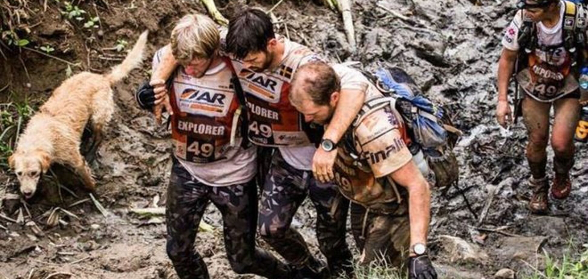 Трогательная история силы духа бродячего пса