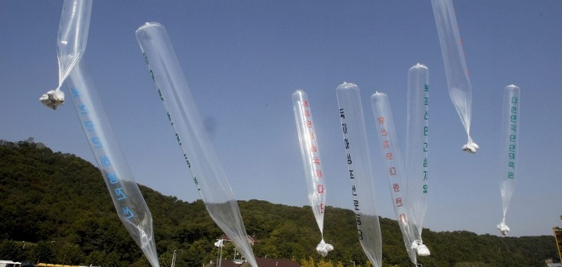 Война в Корее может вспыхнуть из-за… рождественской елки