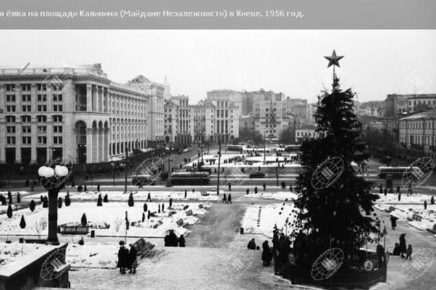 История киевских новогодних ёлок: опубликованы фото