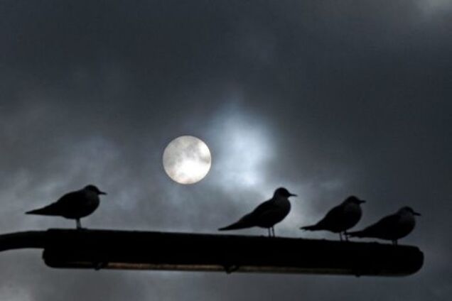 Терпения крымчан хватит года на полтора