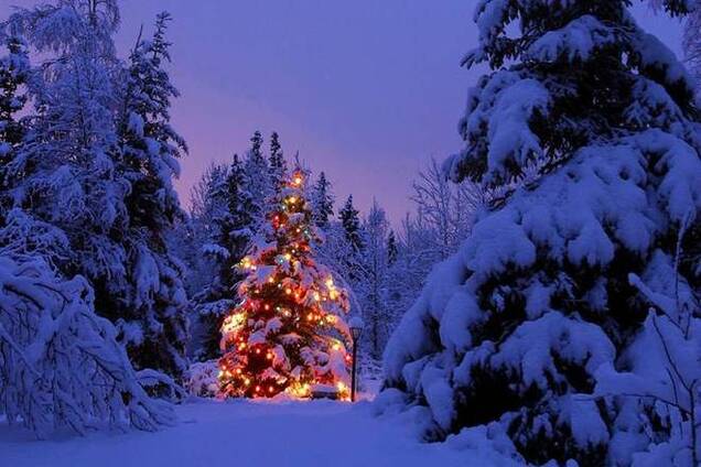 В Гидрометцентре рассказали о погоде на Новый год