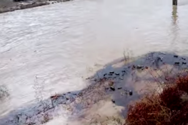 Экологическая катастрофа в Черном море: россияне скрыли огромную утечку нефти