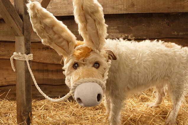 Очень смешные образы собаки, которая преображается каждый Новый год