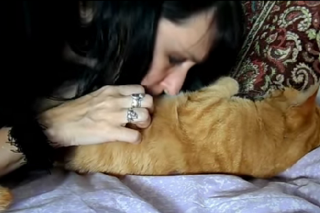 Британка 'вышла замуж' за двух котов: видео с 'молодоженами'