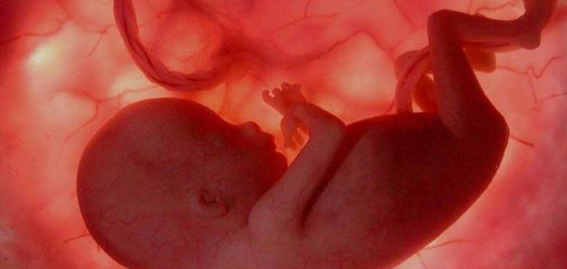 Ученые стали на шаг ближе к созданию эмбриона человека