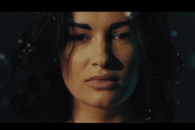 Приходько презентовала эмоциональный видеоролик 'Герої не вмирають'