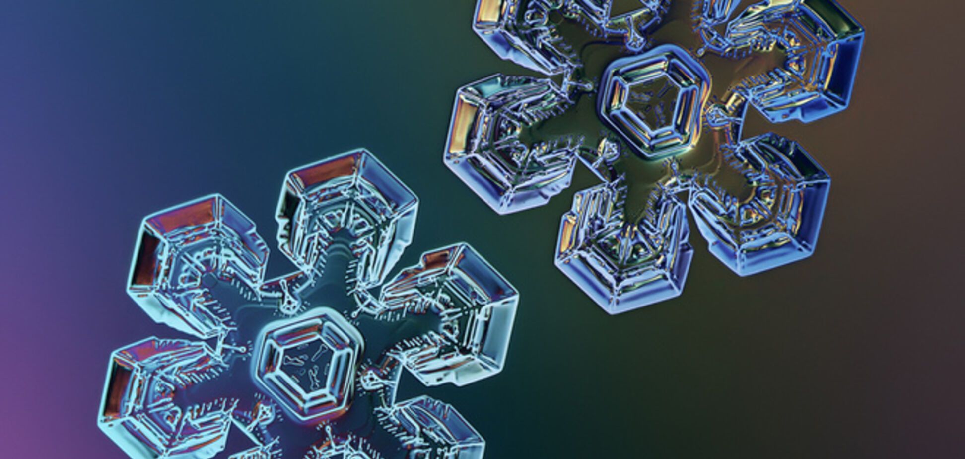 Макро-снежинки