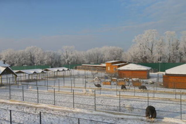 В Межигорье заработает резиденция Деда Мороза