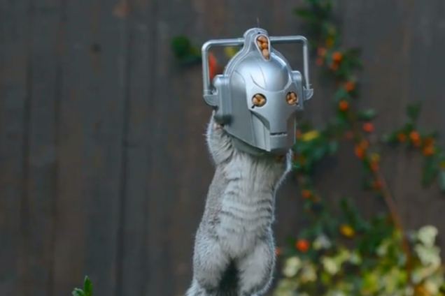 Веселая домохозяйка превратила белку в 'киборга': опубликовано видео