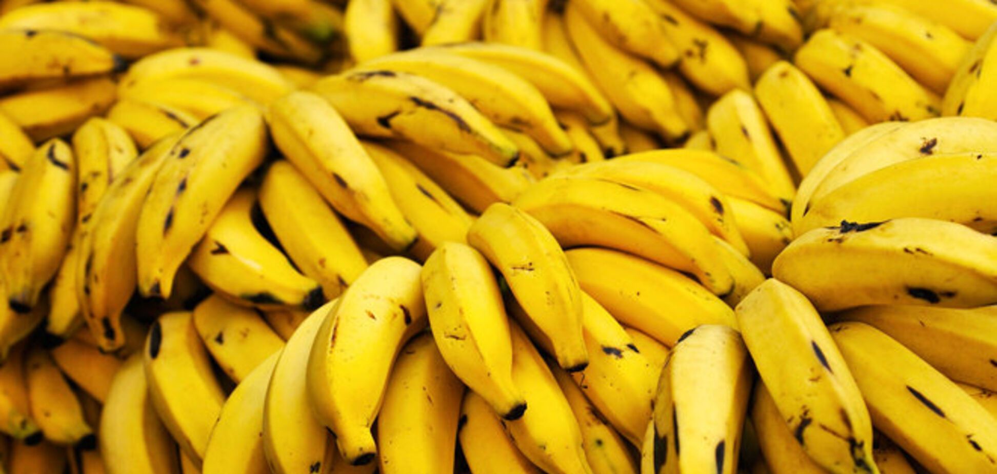 Факты, которые вы точно не знали о бананах