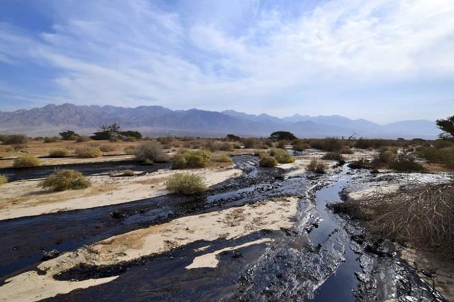 Экологическая катастрофа в Израиле: миллионы литров нефти затопили 100 га земли