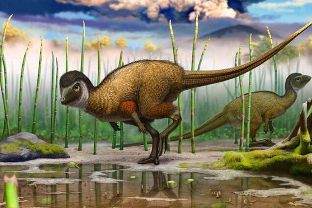 Новые открытия в палеонтологии, сделанные в 2014 году