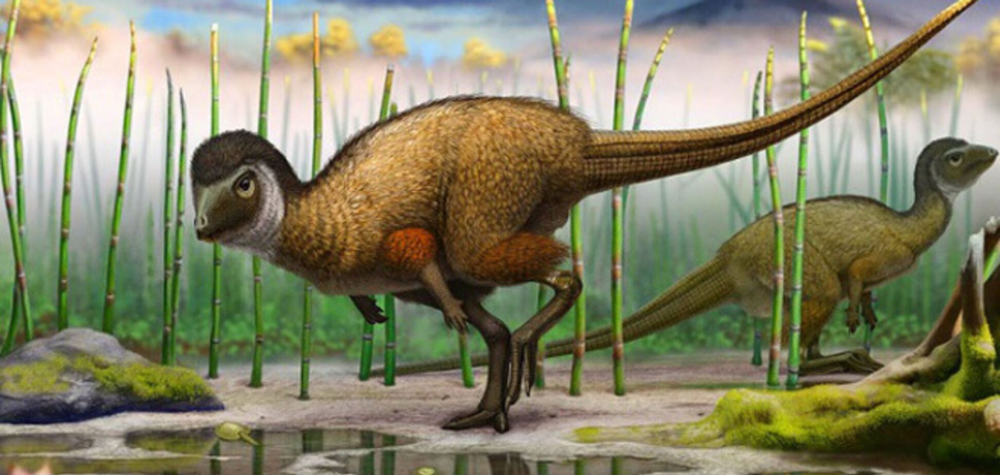 Новые открытия в палеонтологии, сделанные в 2014 году