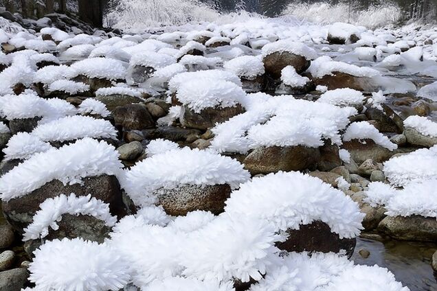 Вот что бывает в природе, когда в дело вступает зима