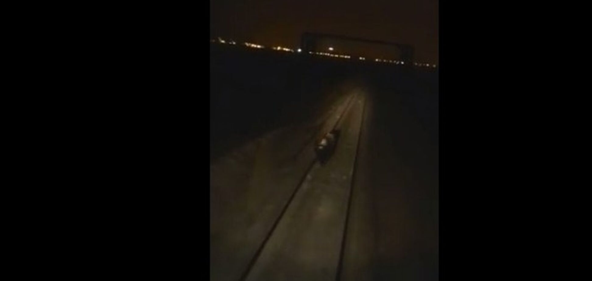 В сети опубликовано видео, как россияне-изверги специально раздавили поездом медведя