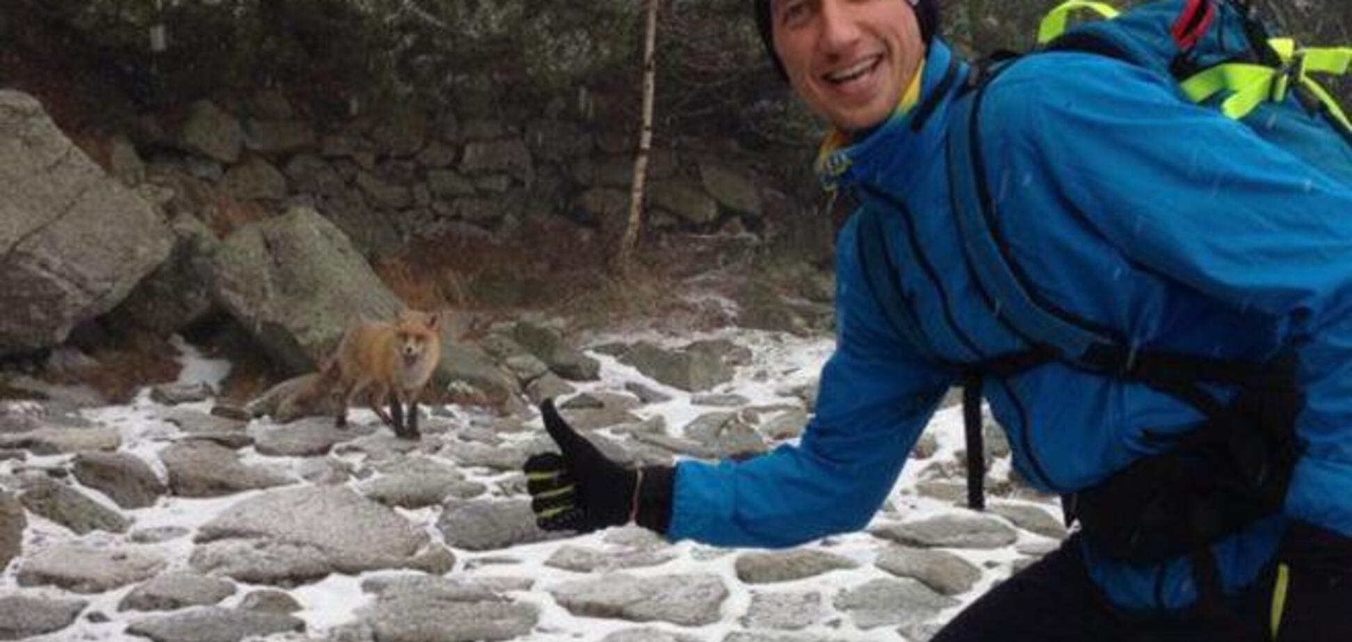 Смілива лисиця перервала тренування Стаховського: фото