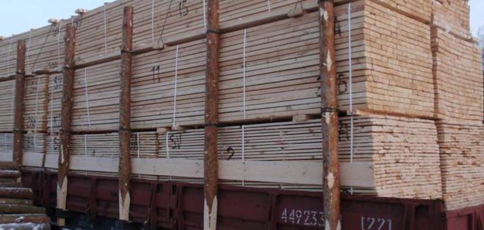 ГФС предложила ввести квоты на экспорт украинской древесины