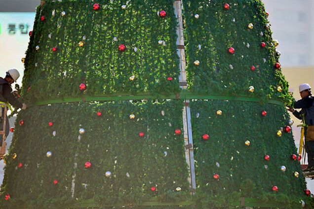 КНДР пригрозила уничтожить ель-провокаторшу реактивными снарядами