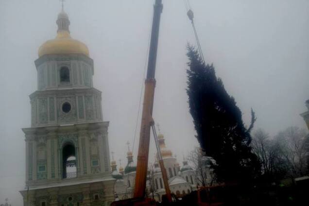 В Киеве начали устанавливать новогоднюю елку: опубликованы фото 