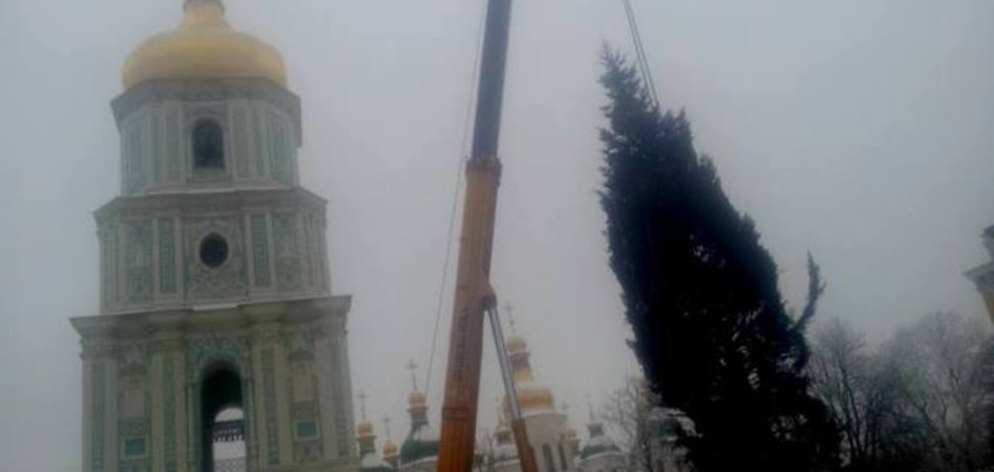 В Киеве начали устанавливать новогоднюю елку: опубликованы фото