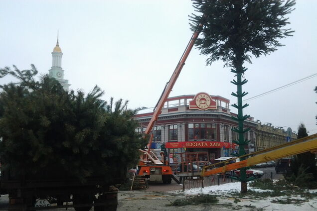В Киеве установили еще одну новогоднюю елку: опубликованы фото