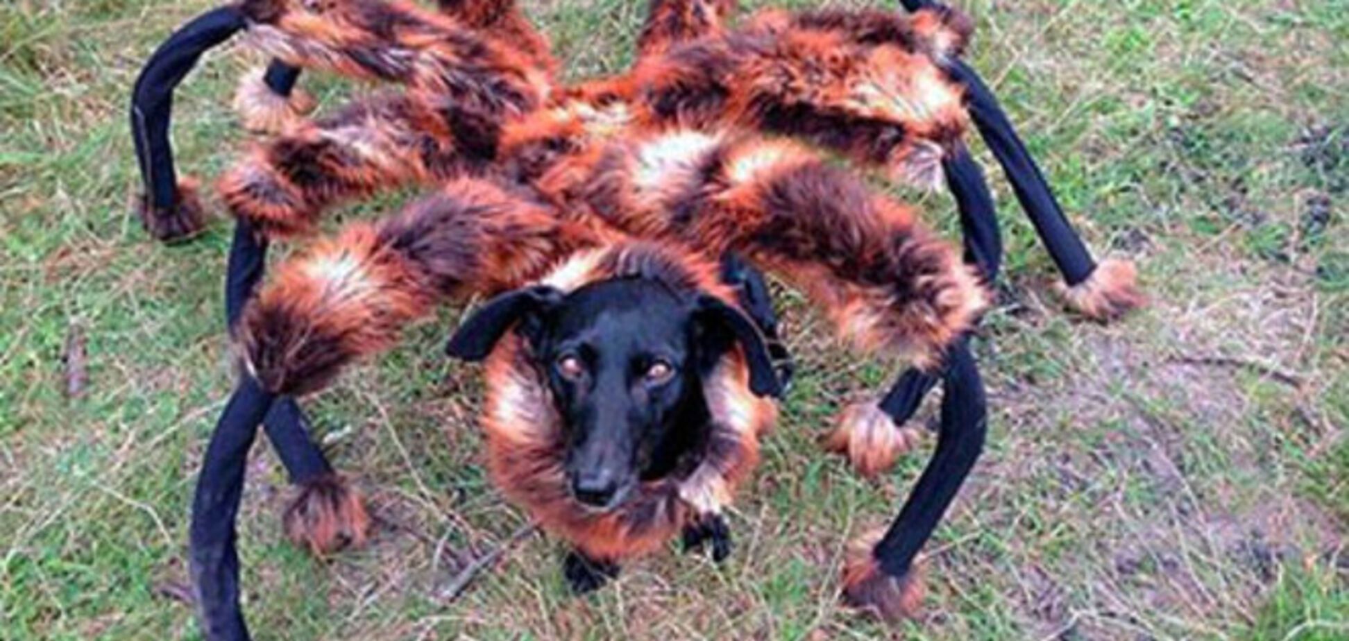 Топ-10 відео від YouTube, які потрясли світ цього року