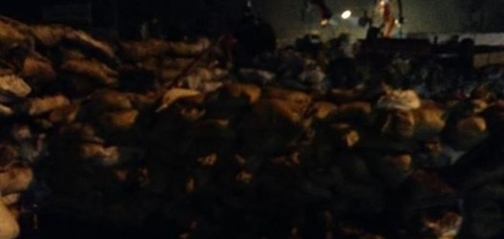Нардеп: милиция ночью задерживала авто с песком для баррикад на Грушевского