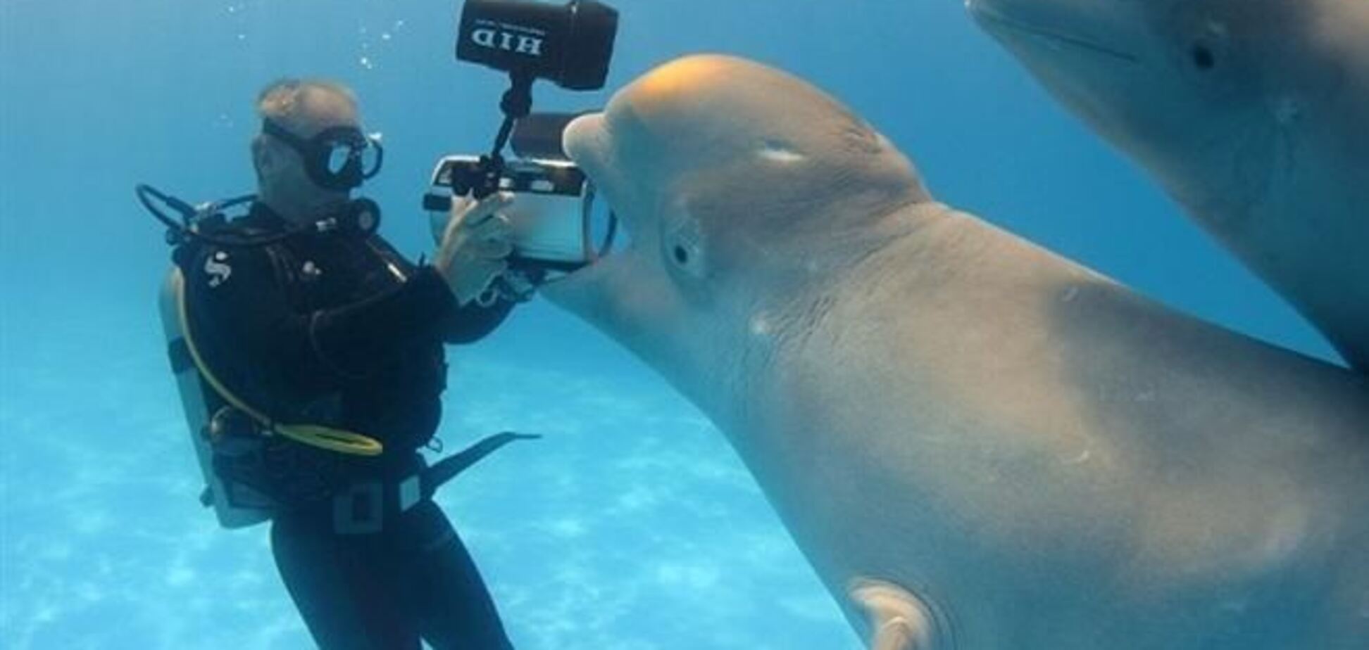Снимки одесского фотографа вызвали ажиотаж в британской прессе