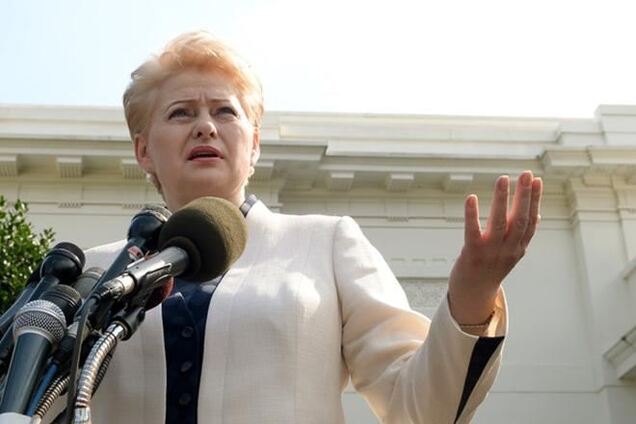 Президент Литвы призывает остановить насилие в Киеве и немедленно вернуться к диалогу