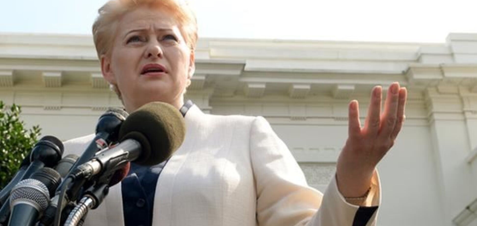 Президент Литвы призывает остановить насилие в Киеве и немедленно вернуться к диалогу