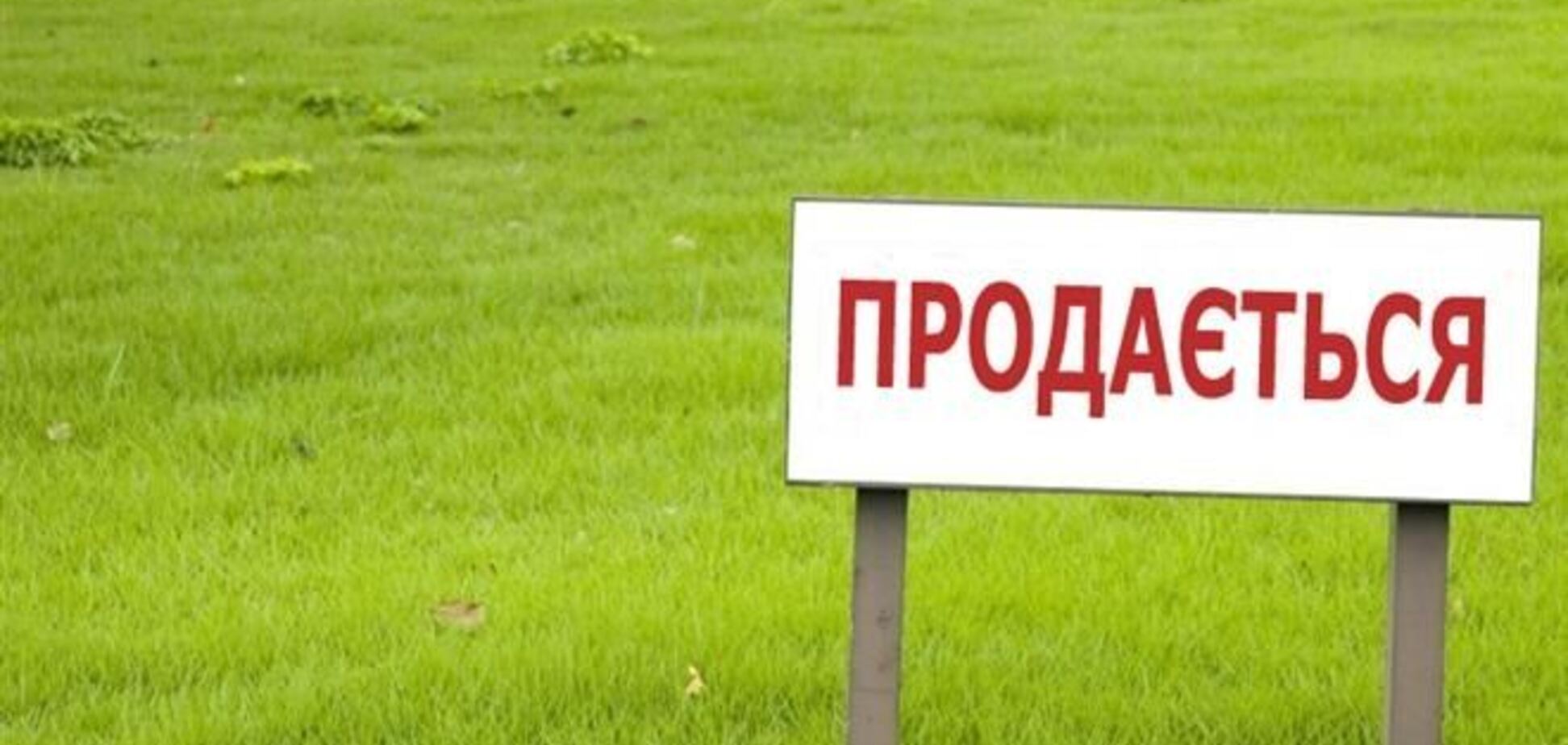 В Киеве можно будет купить землю на аукционах