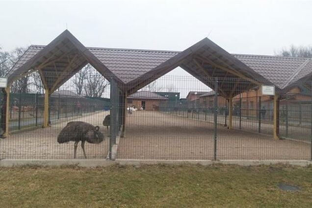 Ветеринари вирішать долю зоопарку Януковича в Межигір'ї