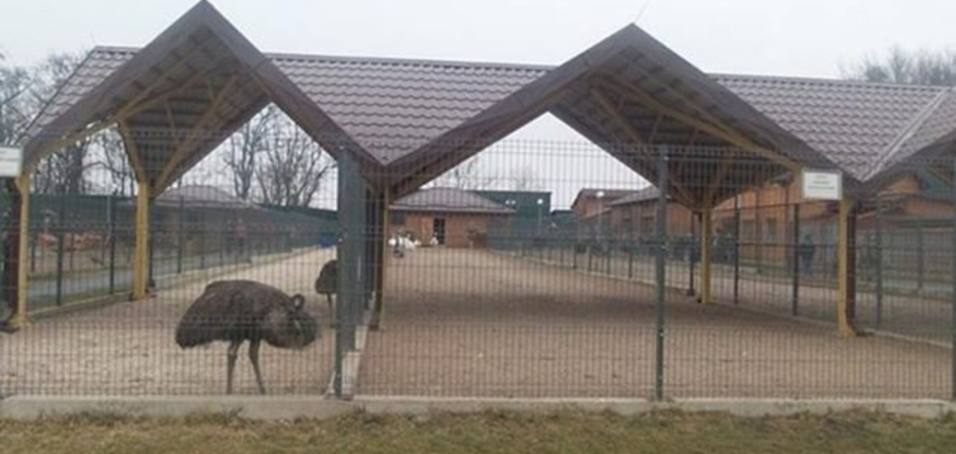 Ветеринари вирішать долю зоопарку Януковича в Межигір'ї