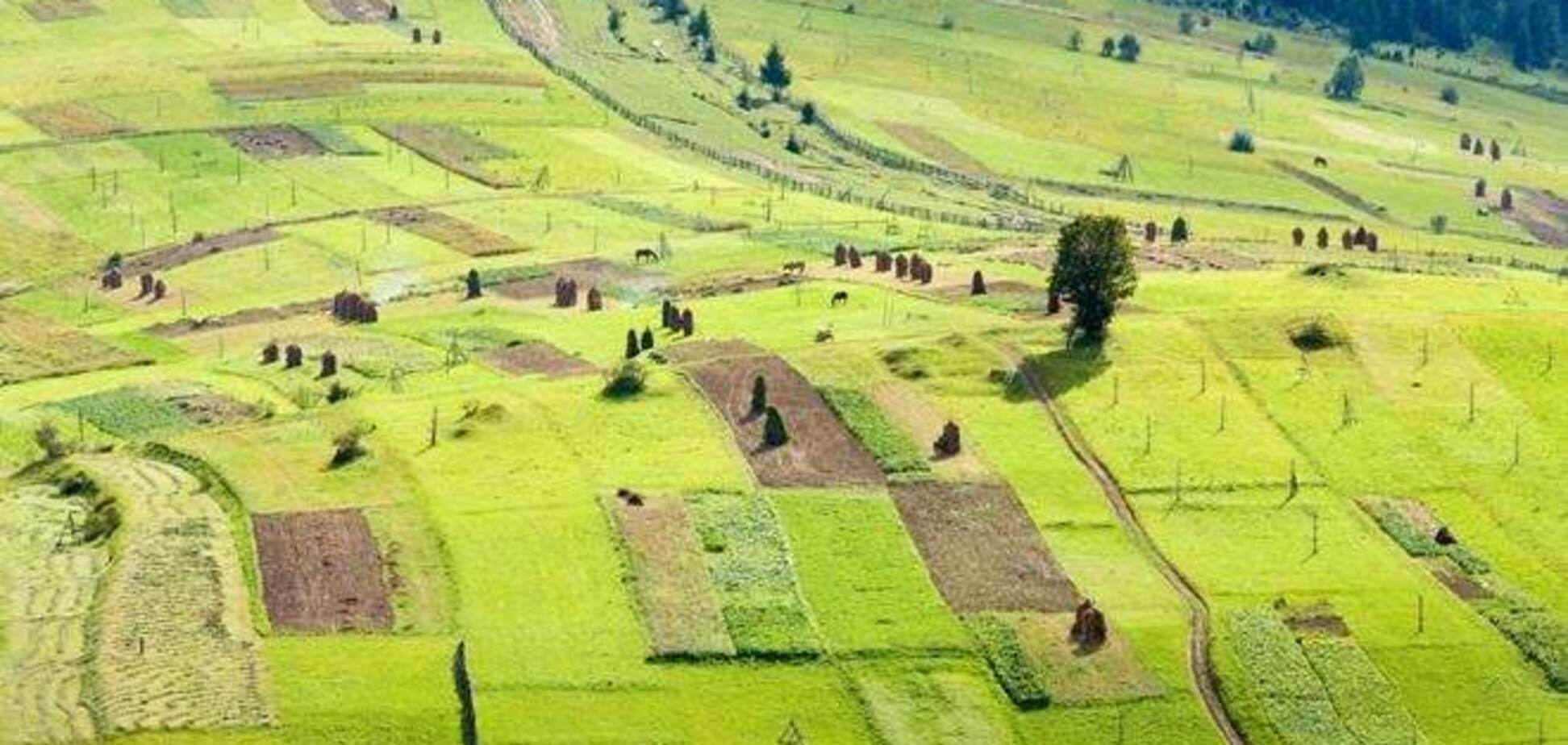 Государственное и коммунальное имущество могут запретить передавать в частные руки