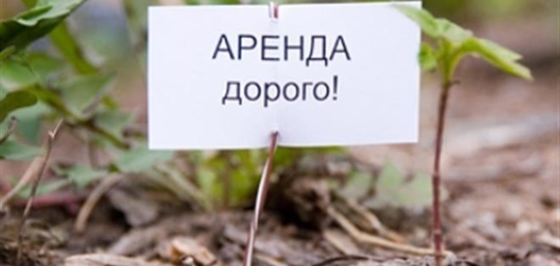 В Украине 70% частных земель сдаются в аренду
