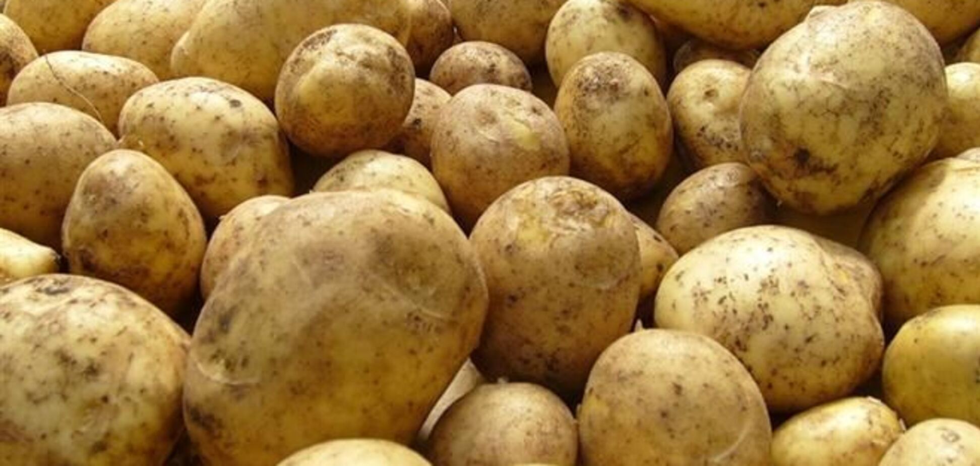 Беларусь ввела запрет на европейский картофель