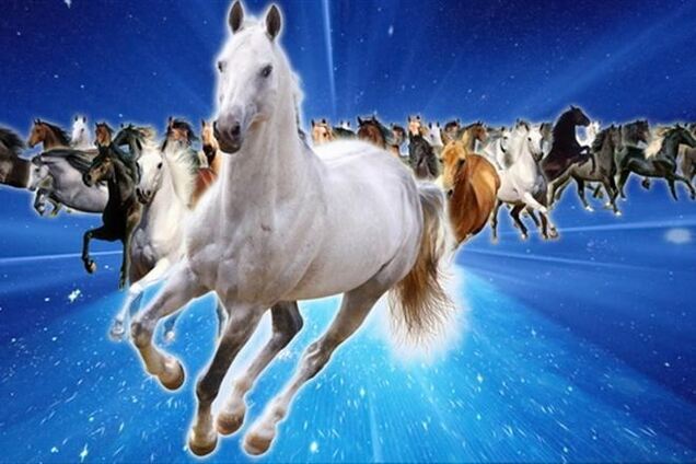 Что говорят китайцы о людях, родившихся в год Лошади