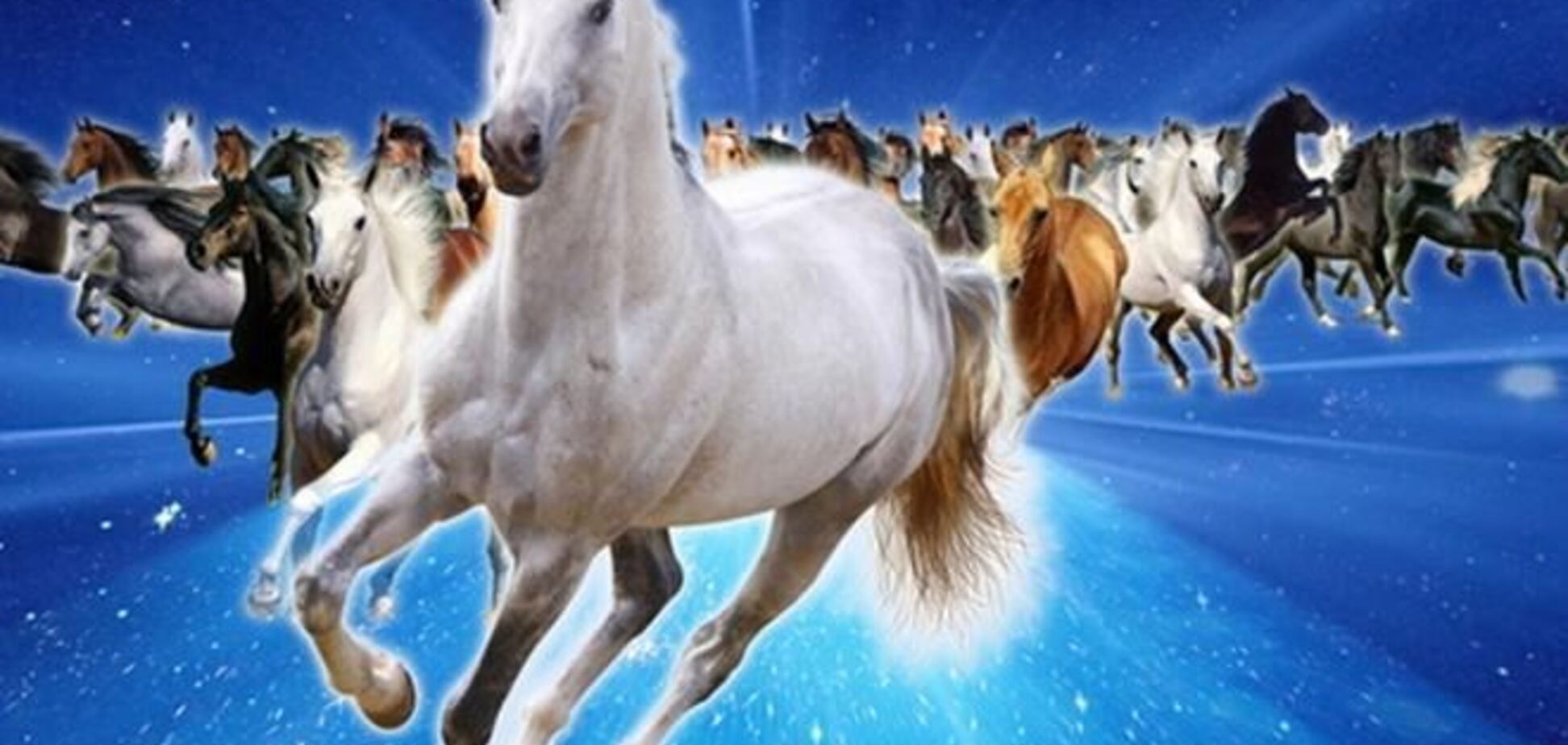 Что говорят китайцы о людях, родившихся в год Лошади