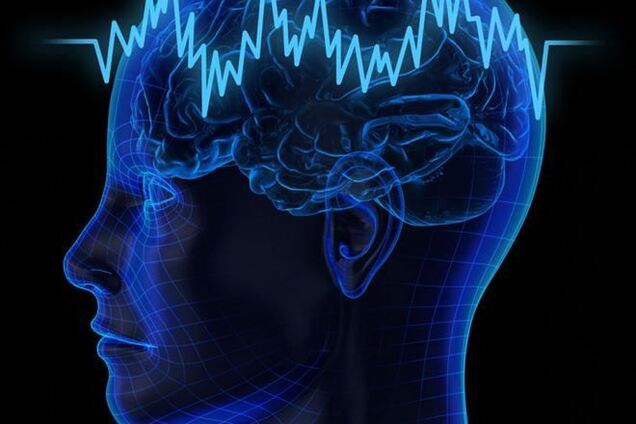 Ученые нашли место, где у человека находится совесть