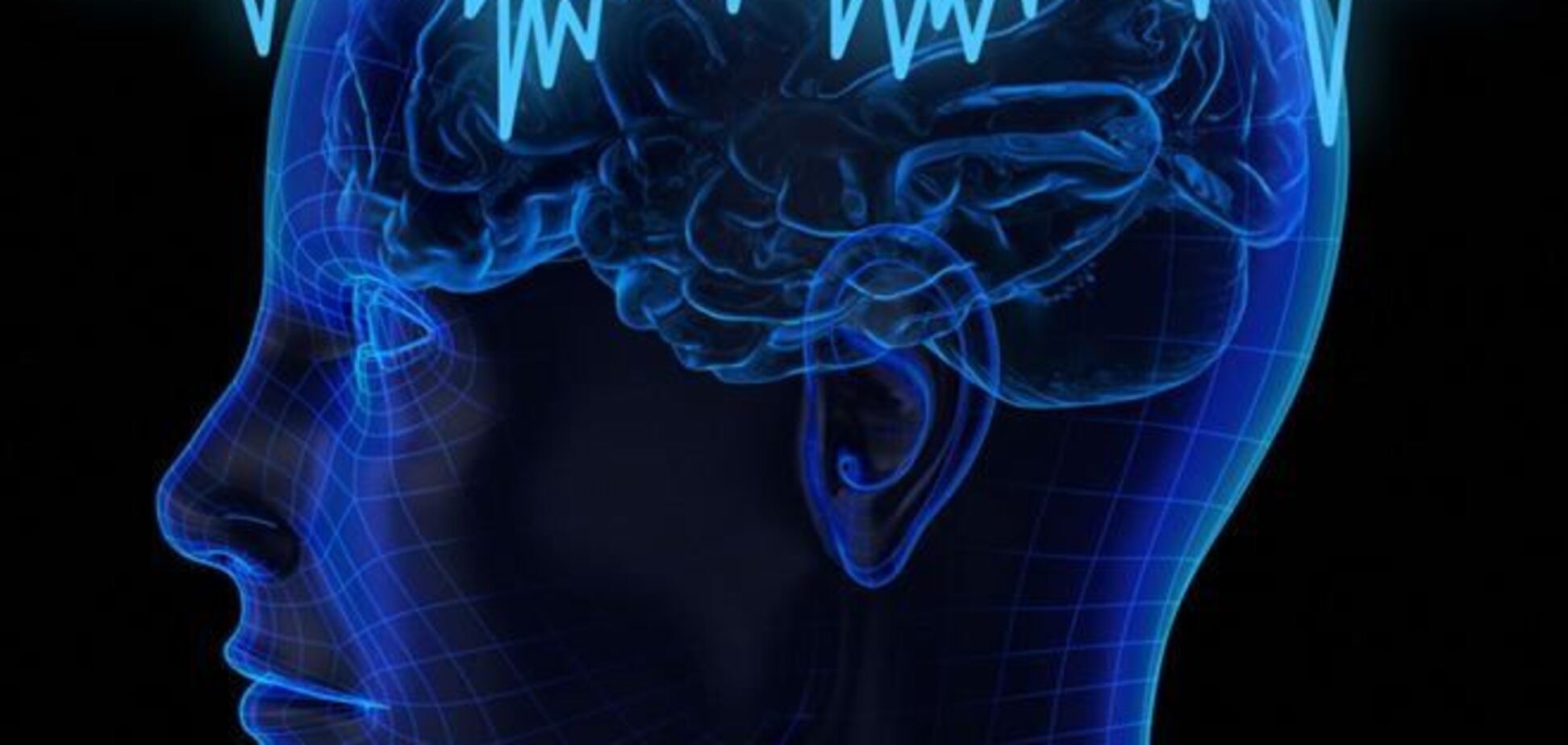 Ученые нашли место, где у человека находится совесть