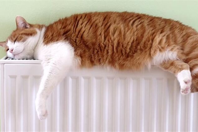 Как сделать батареи теплее