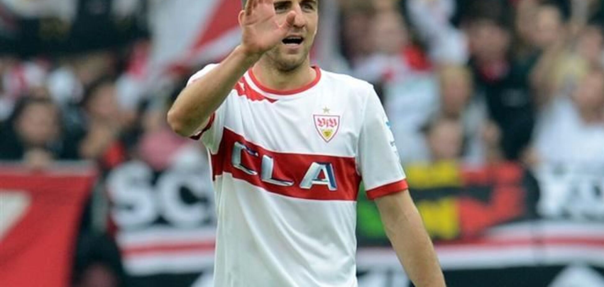 Нападающий 'Штутгарта' Ибишевич может перейти в 'Металлист'