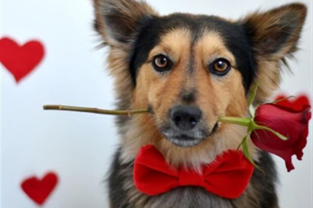 Топ-5 способов испортить День всех влюбленных