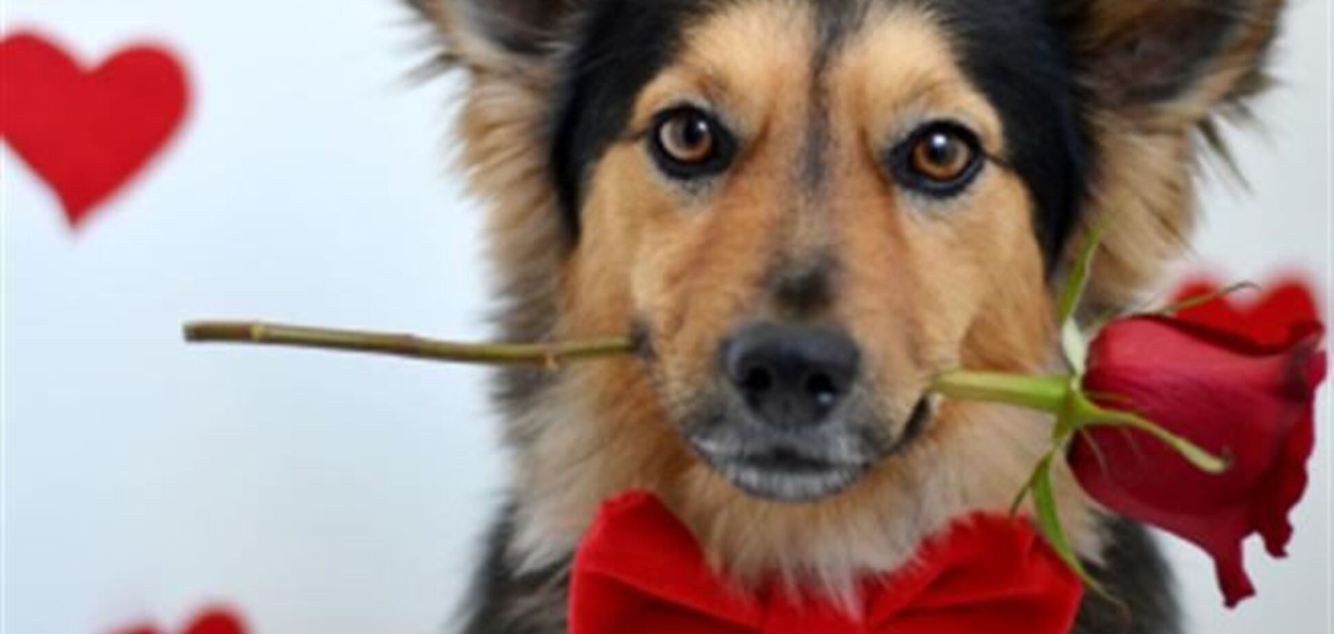 Топ-5 способов испортить День всех влюбленных