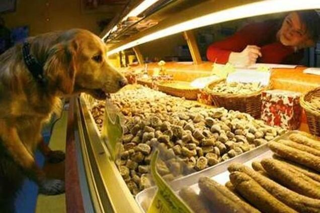 В Одесі у домашніх вихованців з'явилася власна кондитерська