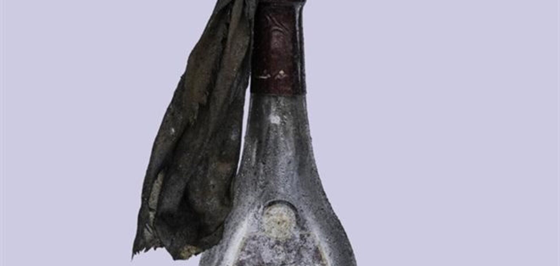 Голландский фотограф создал серию фото 'майдановских' коктейлей Молотова